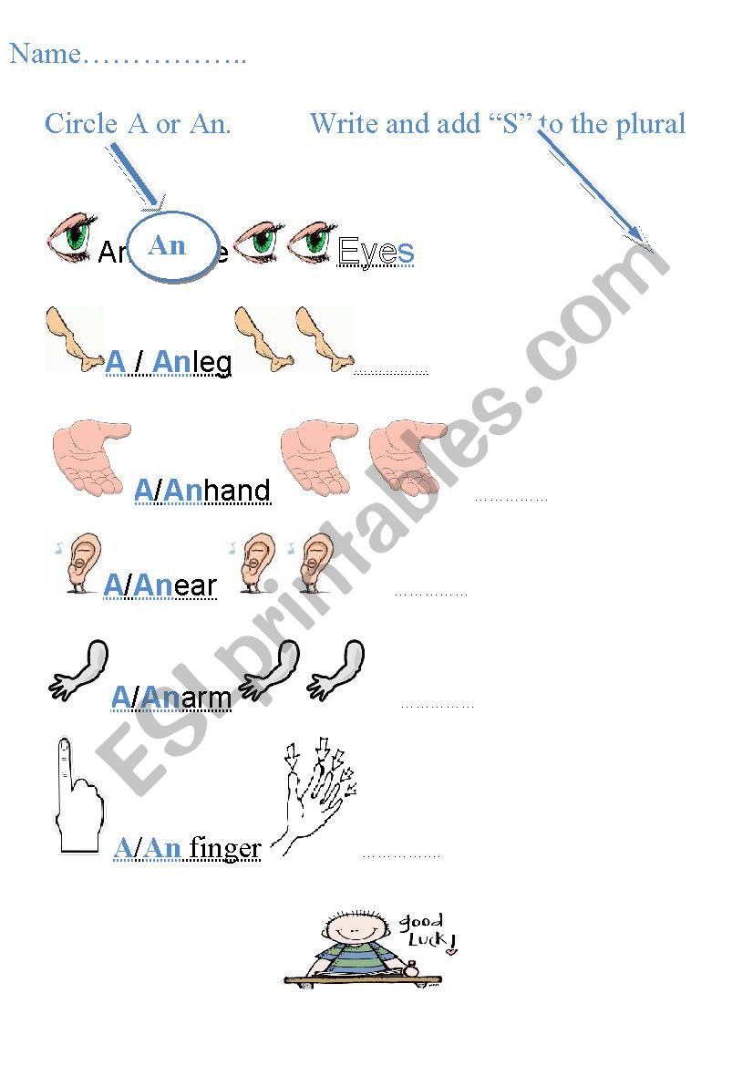 Body parts worksheet