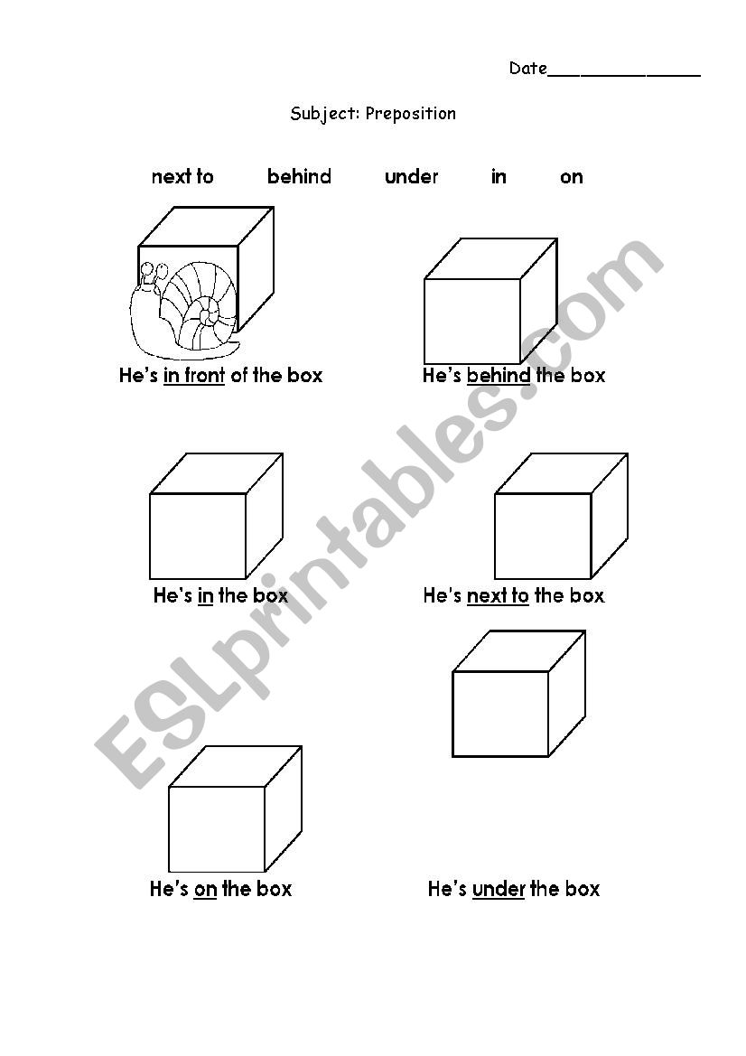 Preposition Practice  worksheet