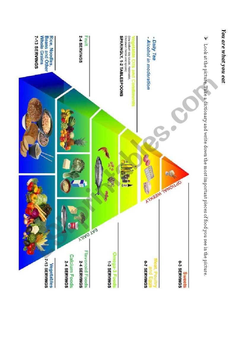 You are what you eat worksheet