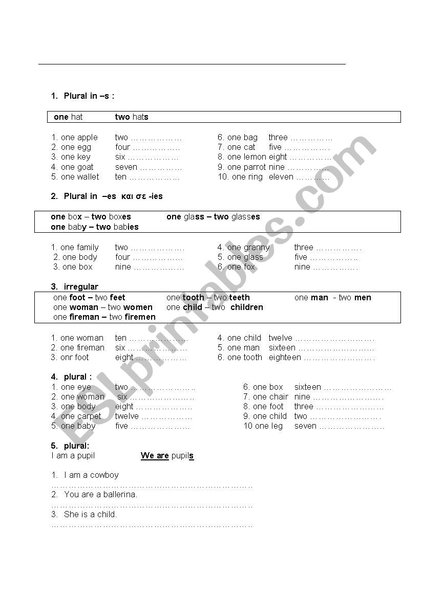 plural worksheet