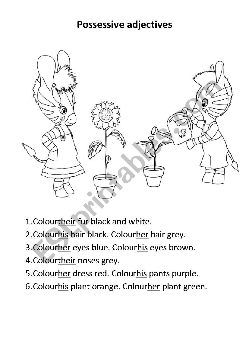 Zou_zebra_colouring page worksheet