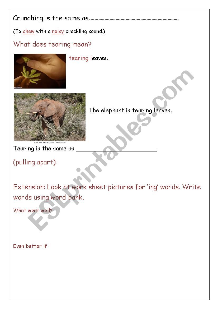 Elephant Poem - ESL worksheet by sianwilliams7@live.co.uk