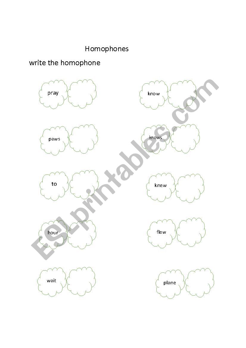 homophones 3 worksheet