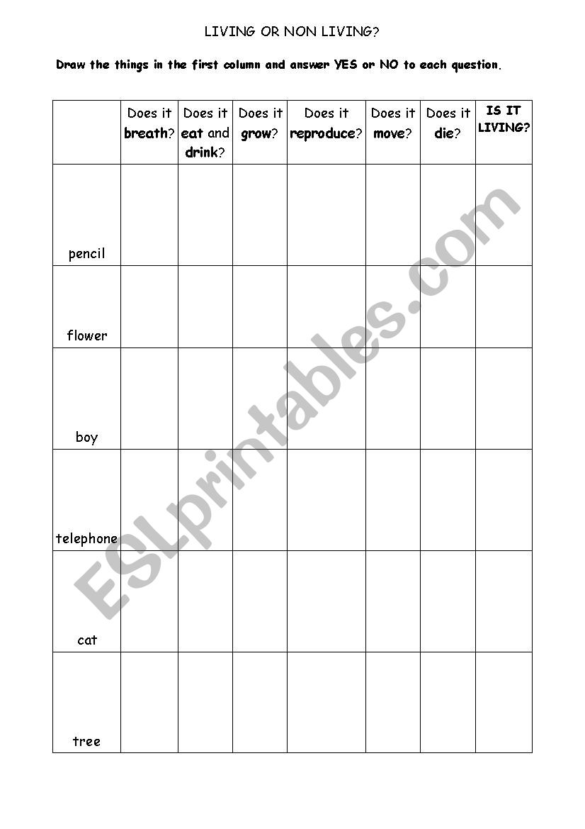 living or non living? worksheet