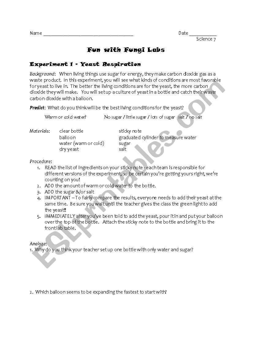 Fun with Fungi #1 worksheet