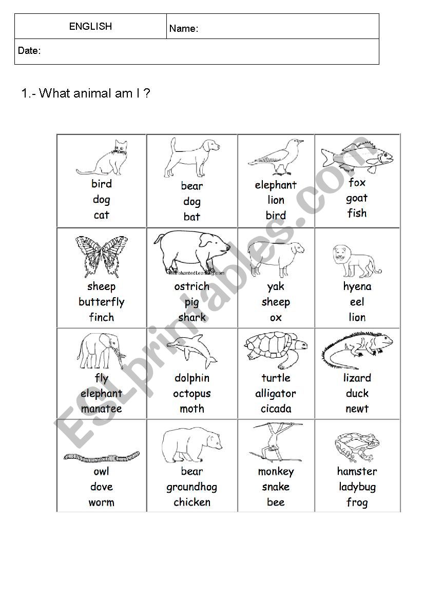 We love animals! worksheet