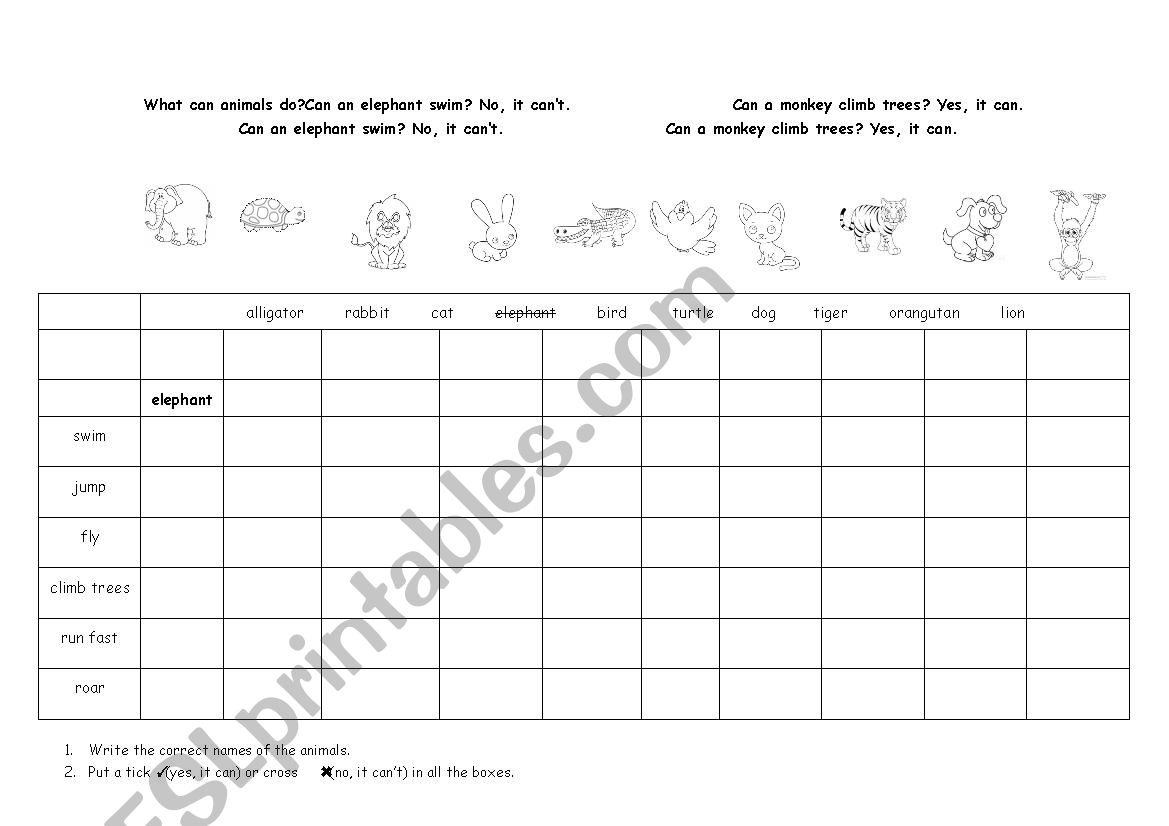 What can animals do? worksheet