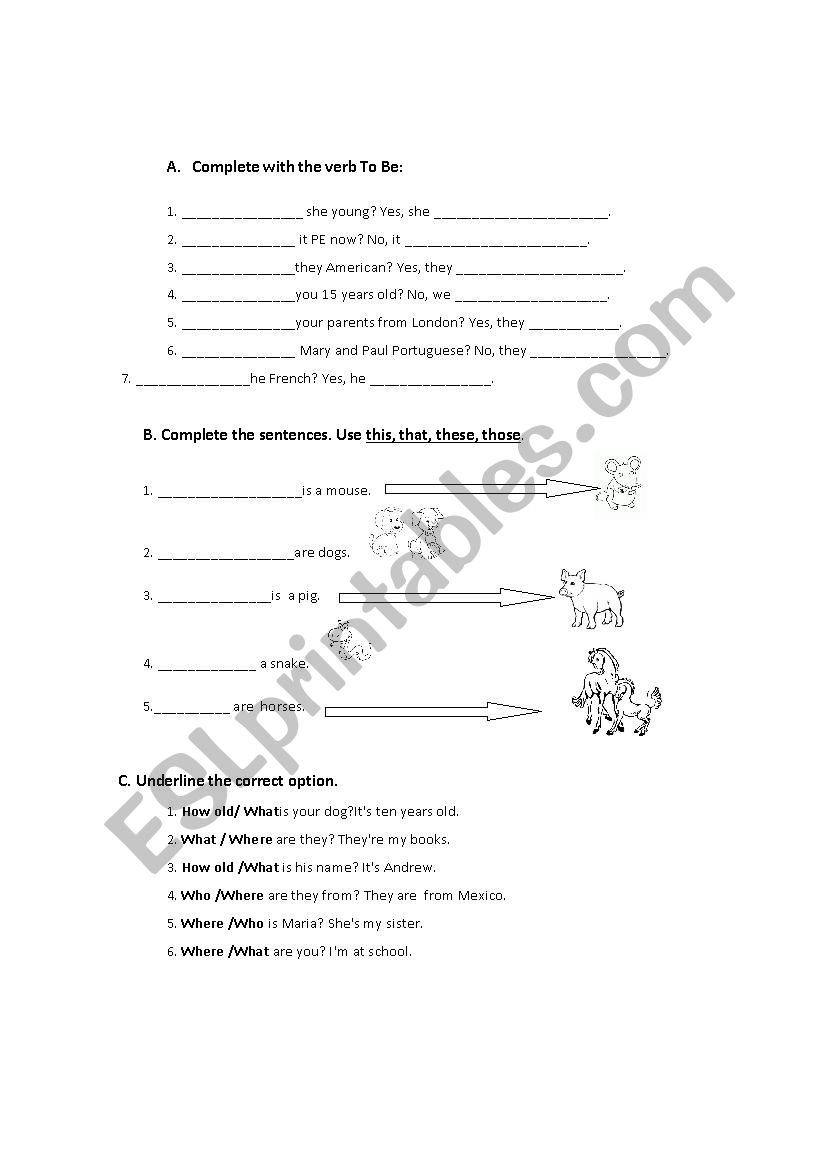 revision worksheet