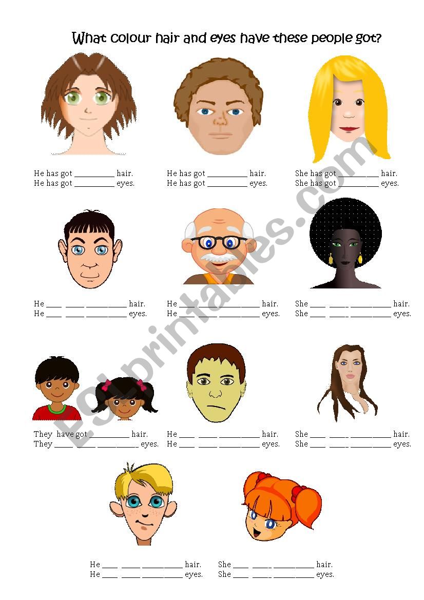 Has got and have got describing hair and eye colour - ESL worksheet by ...