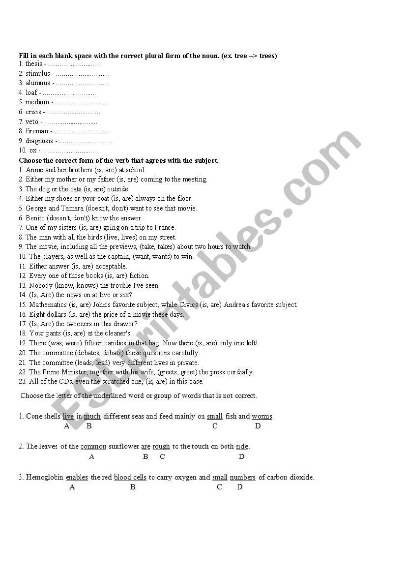 Noun Plural/ Singular worksheet