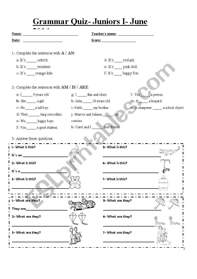 GRAMMAR QUIZ worksheet