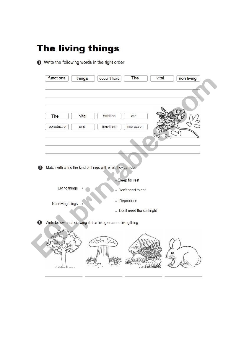 Living things vital functions worksheet