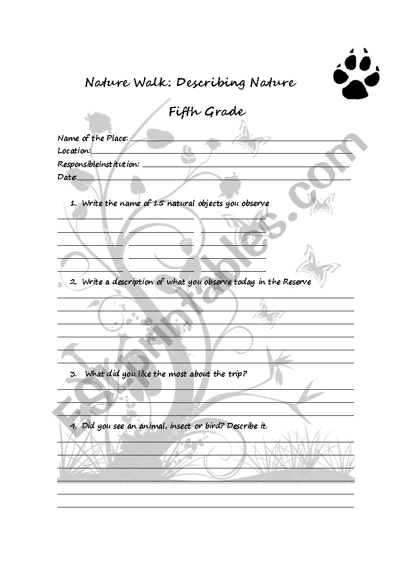 Nature walk worksheet