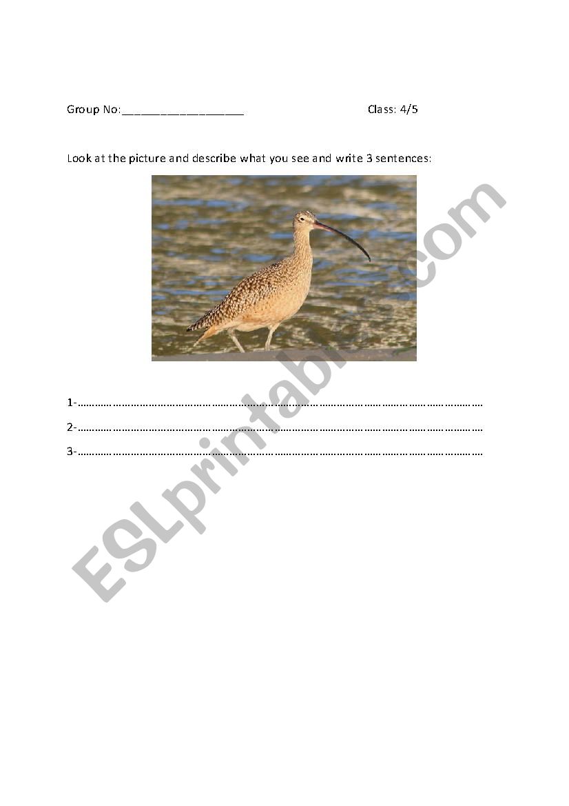 describe picture worksheet