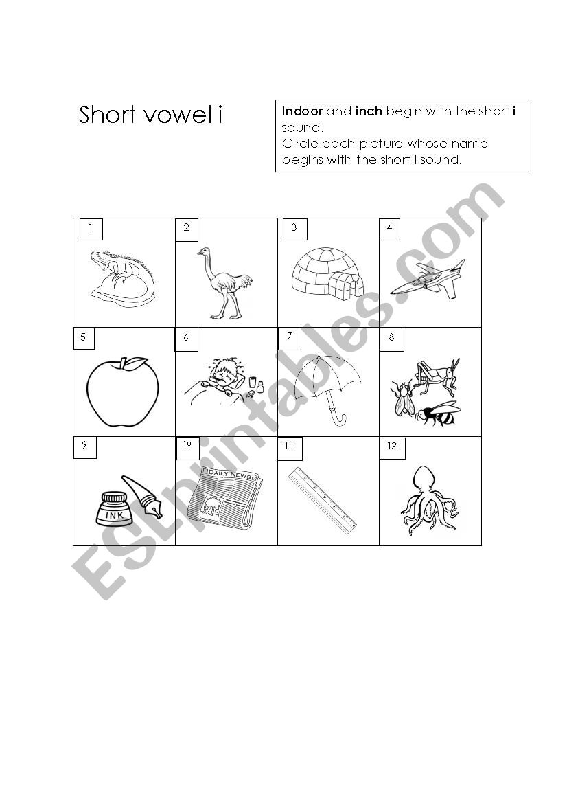 Begining short i sound - ESL worksheet by Kattia1725