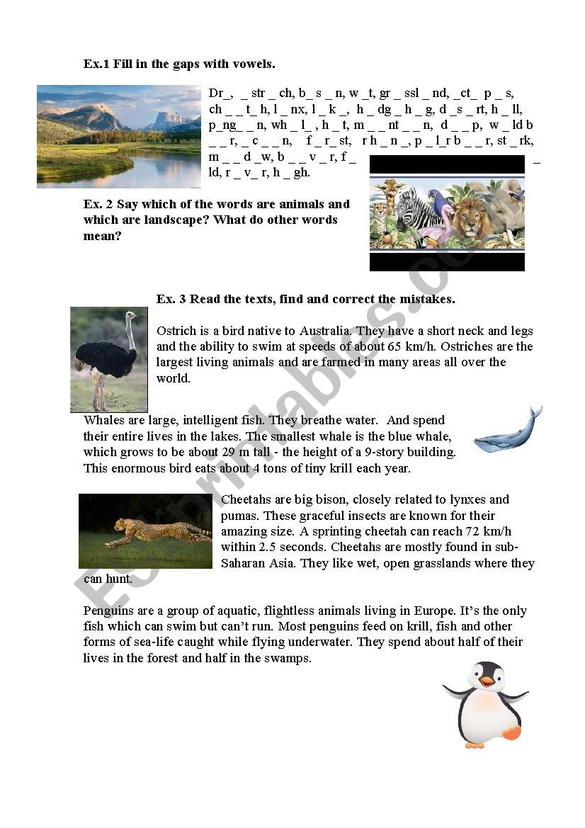 animals, landscape word study worksheet