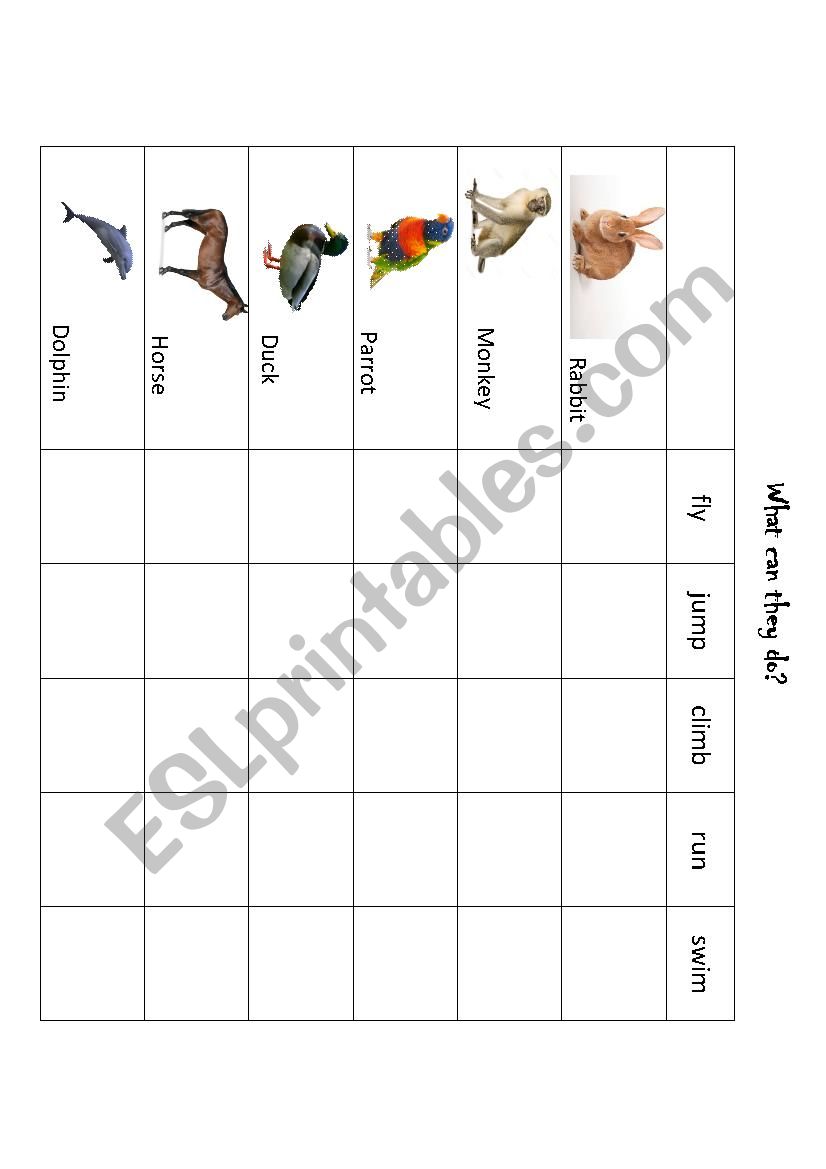What can the animals do? worksheet