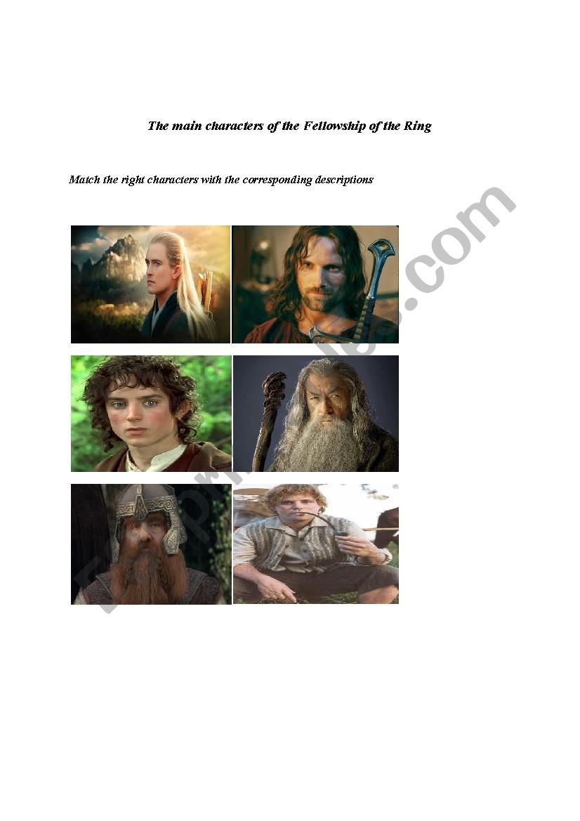 The main characters of the Lord of the Rings