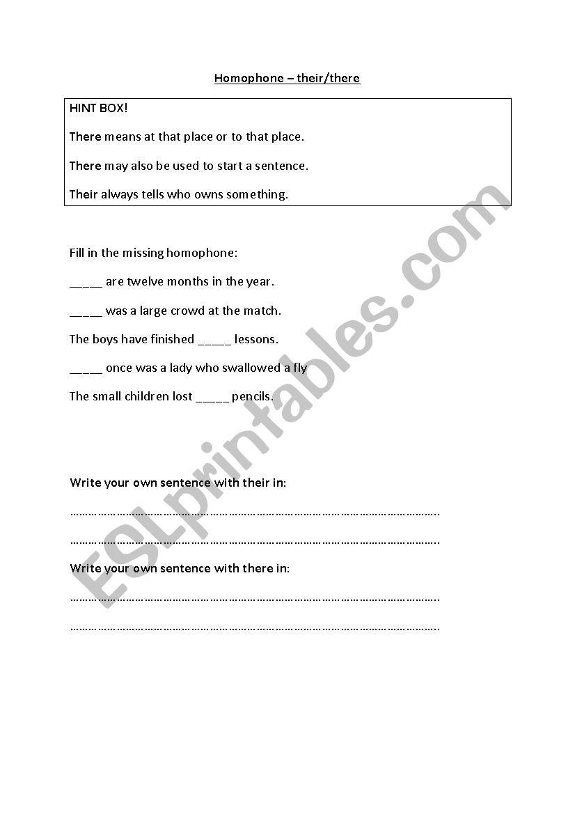 Homophones: Their and There worksheet