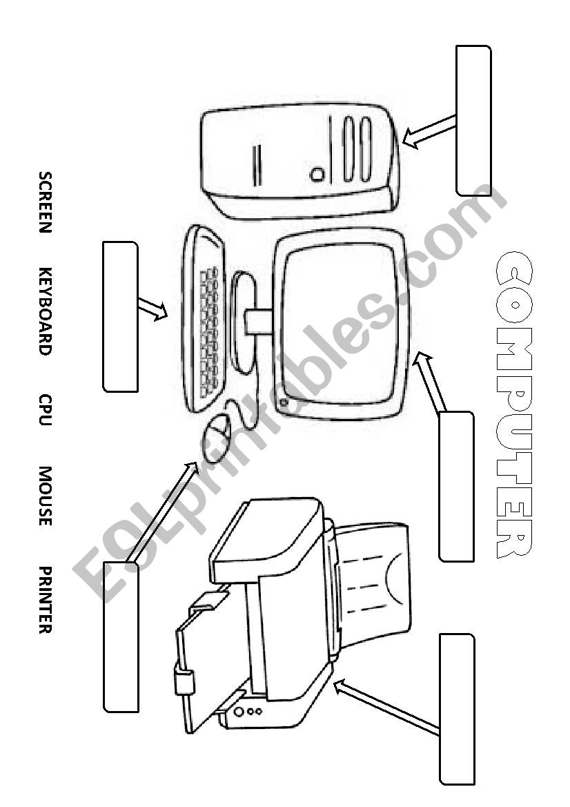 Computer worksheet