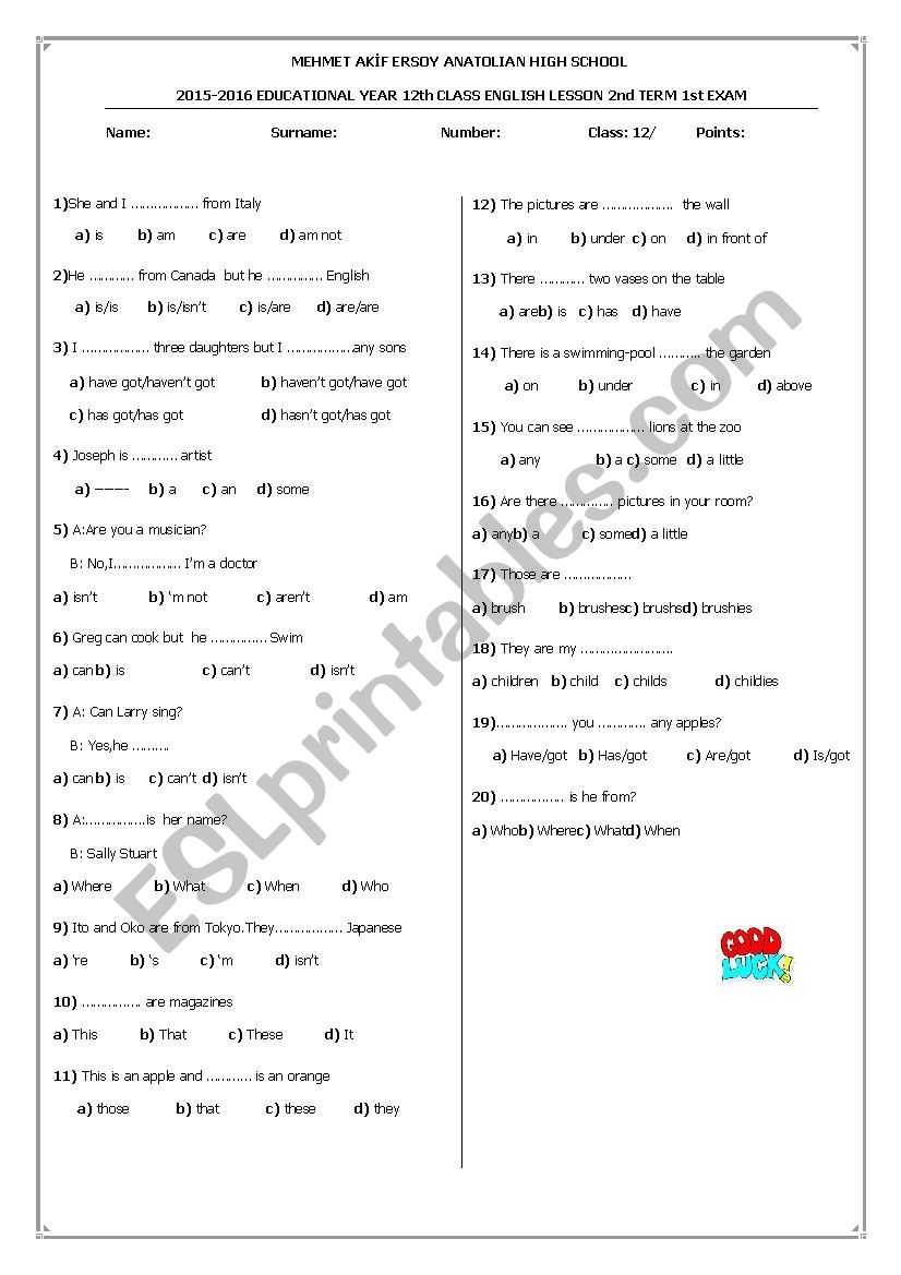 Exam questions worksheet