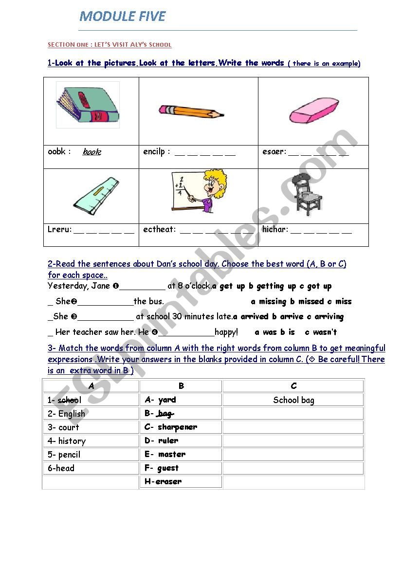 LET’S VISIT ALY’S SCHOOL - ESL worksheet by fawzydridi