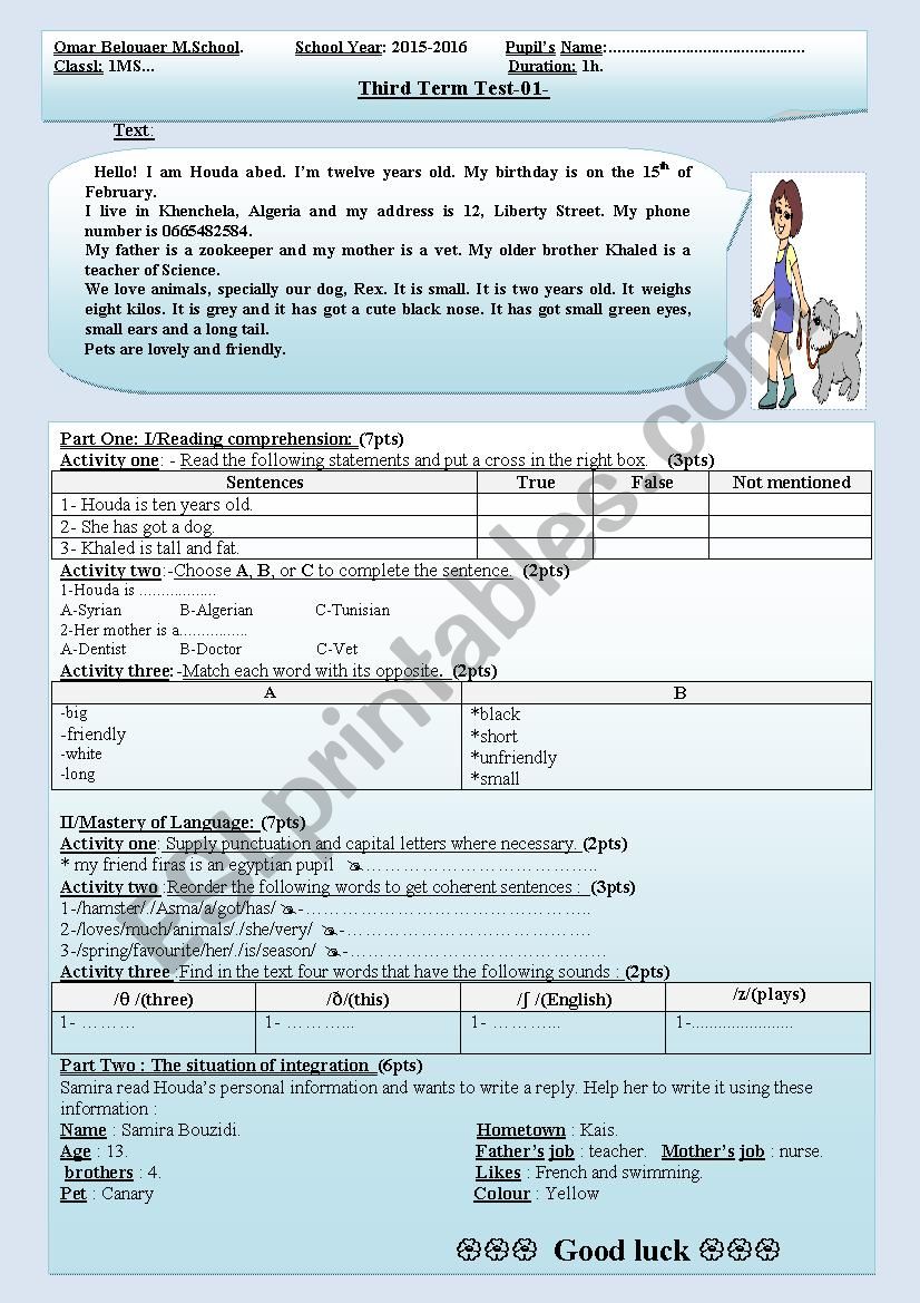 third term test-01- worksheet