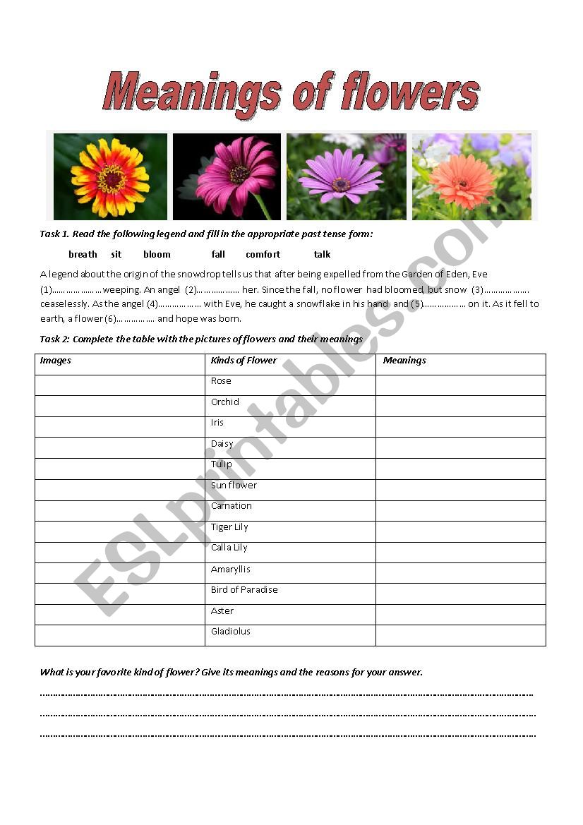 Meaning of the flowers worksheet