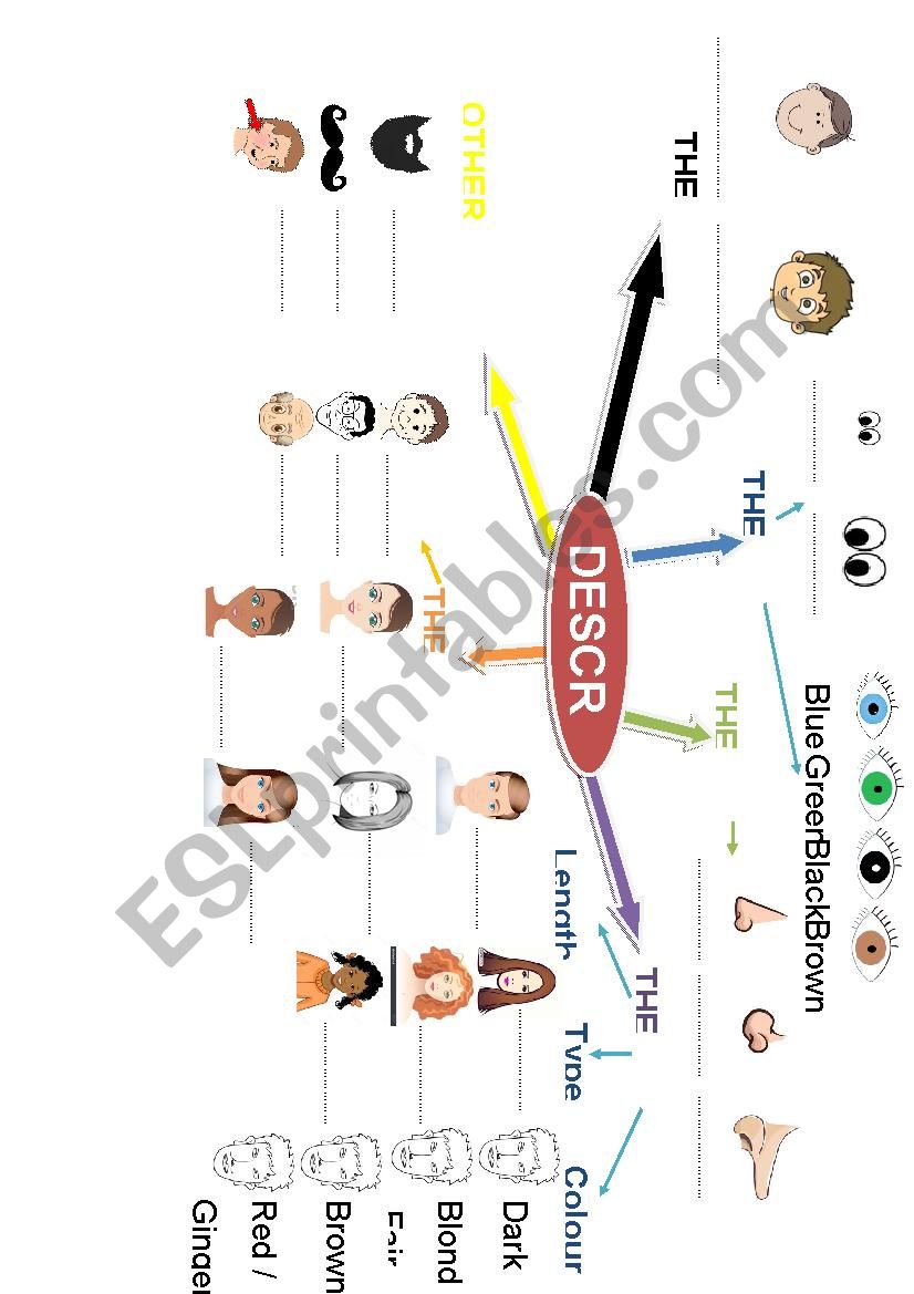 Physical description mind map worksheet