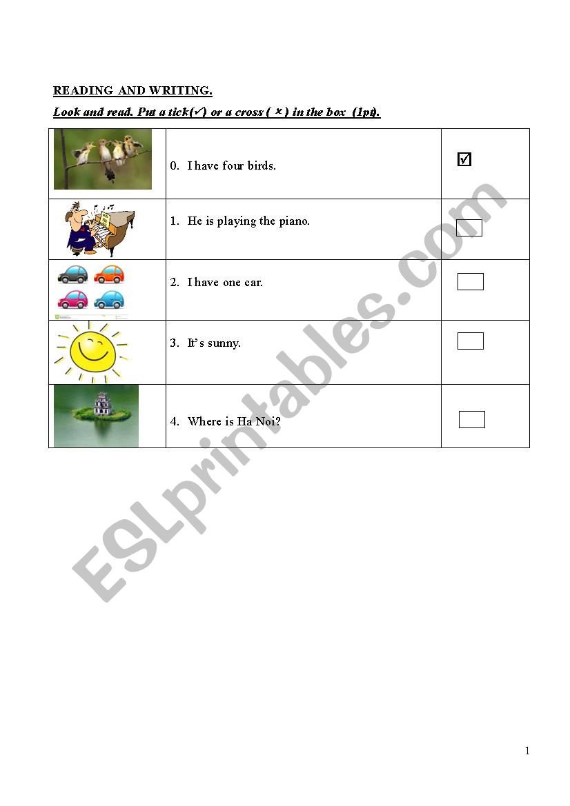 Basic Test for kids worksheet