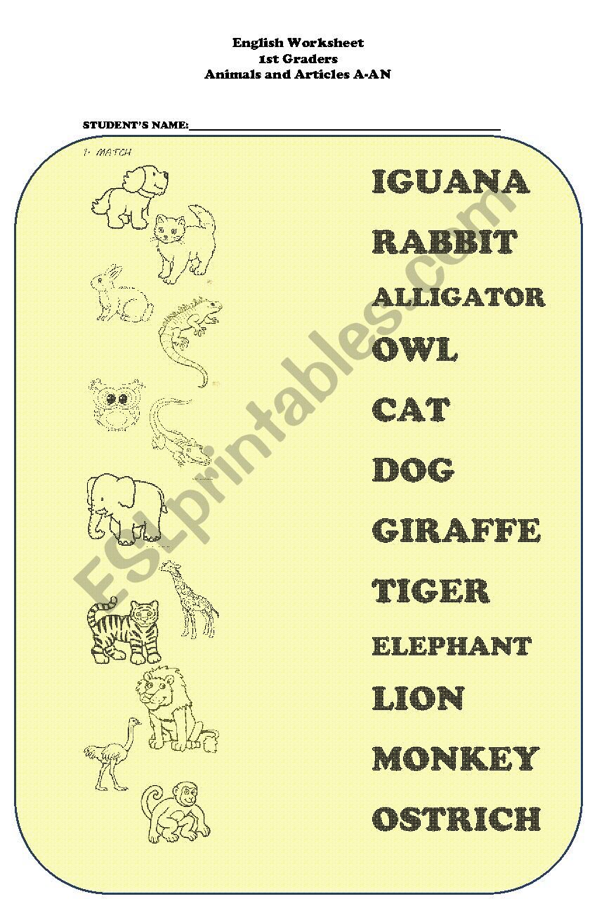 Animals and articles A / AN worksheet