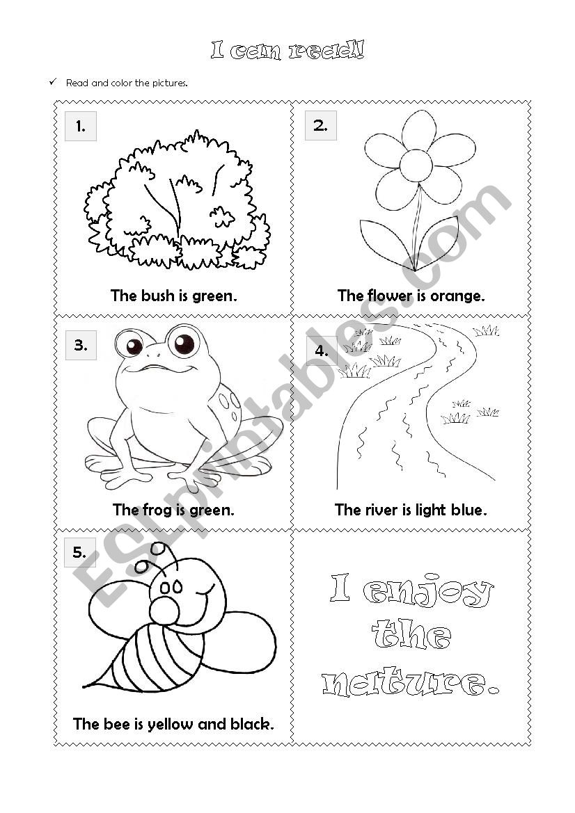 OBJECTS IN NATURE worksheet