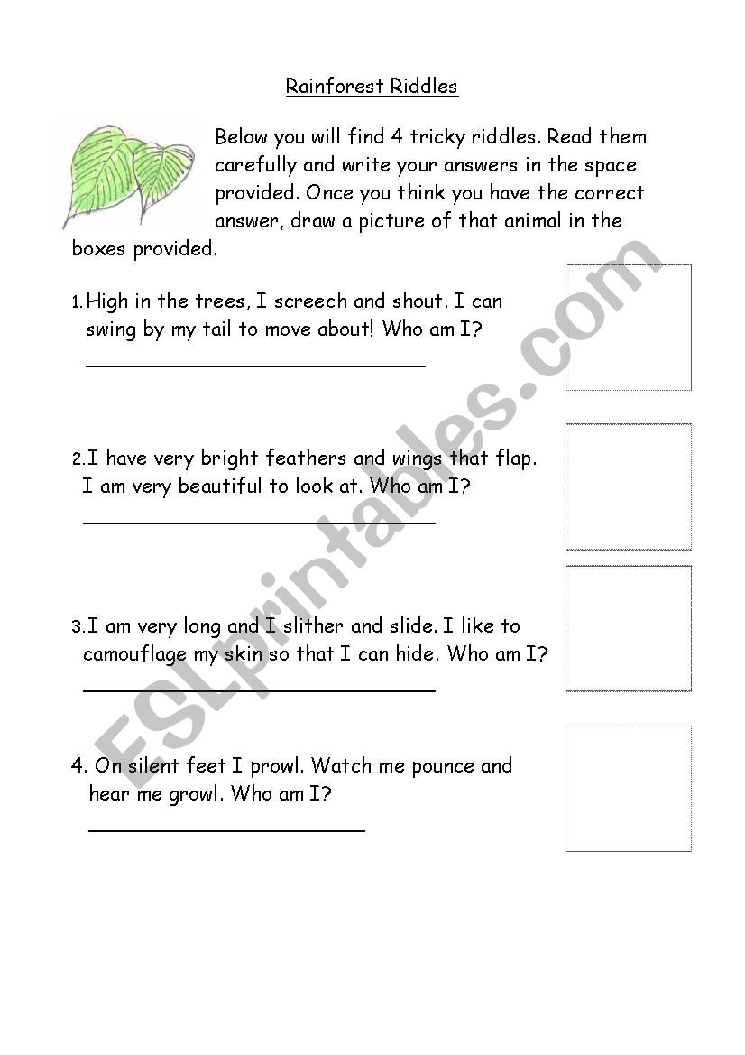 Rainforest Riddles  worksheet