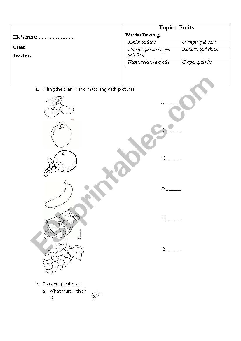 fruits worksheet worksheet