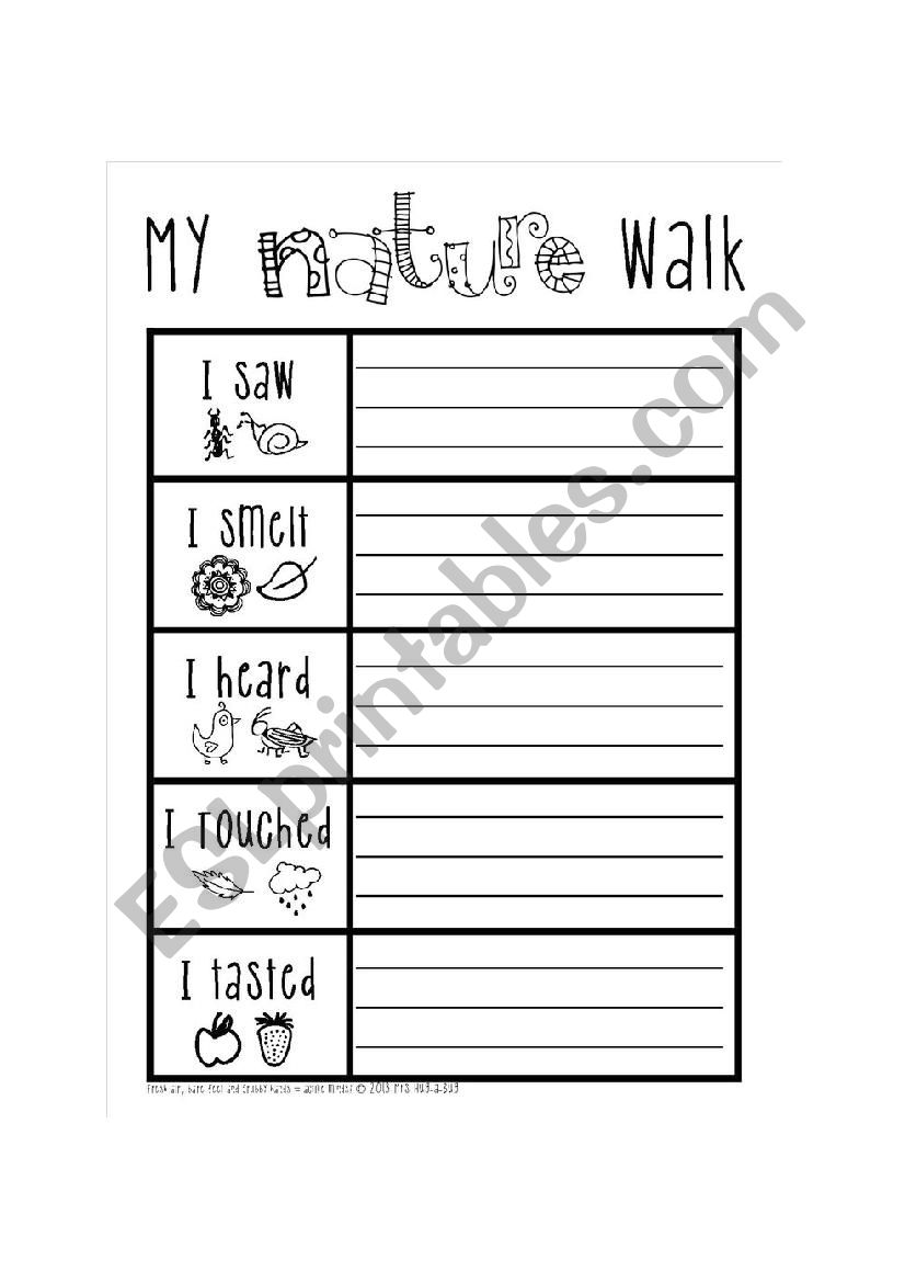 my nature worksheet