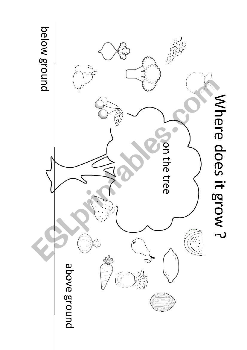 Where does it grow? worksheet