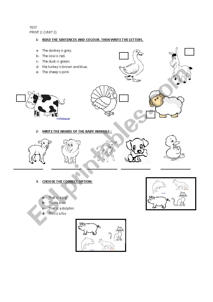 test book print 2 (unit 2 ) worksheet
