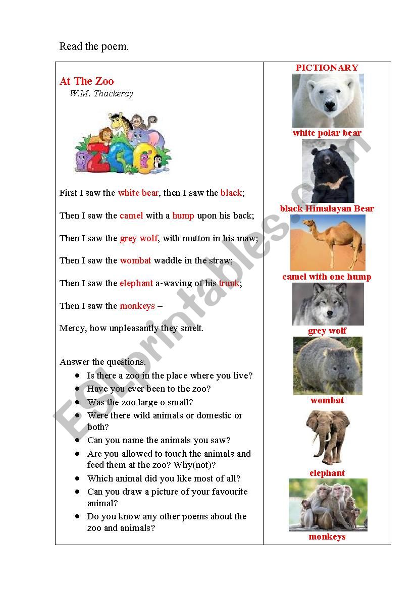English worksheets: ZOO (poem + questions)
