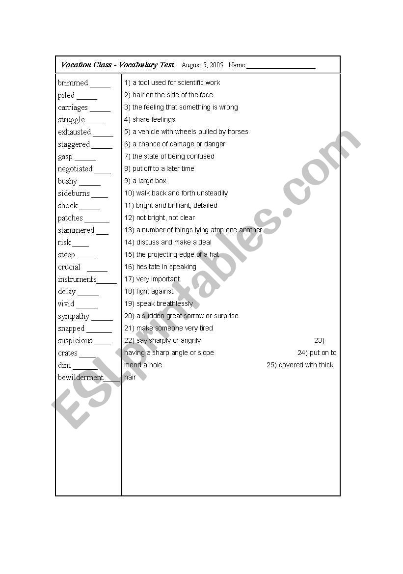 Vocabulary Test -  worksheet
