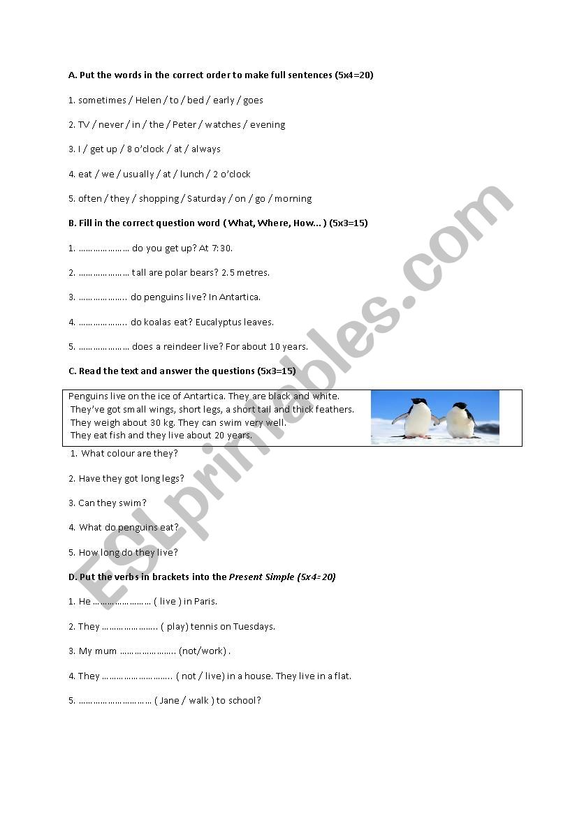 Exam worksheet