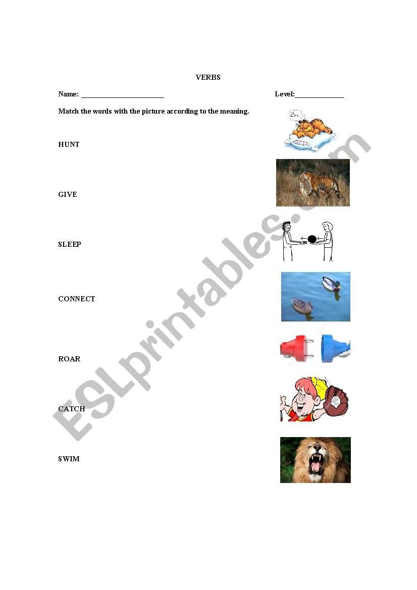 verbs worksheet