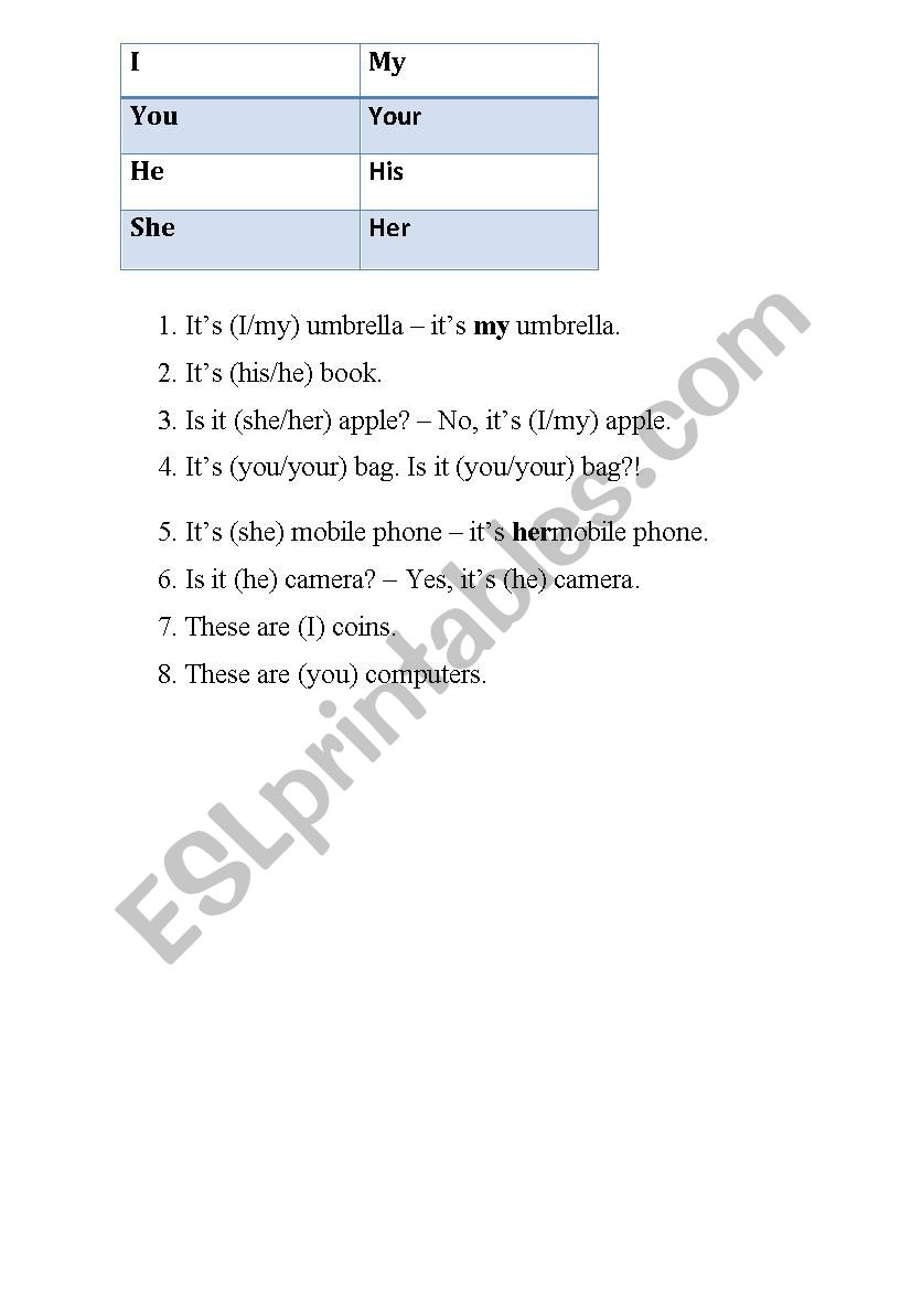 Possesive adjectives worksheet