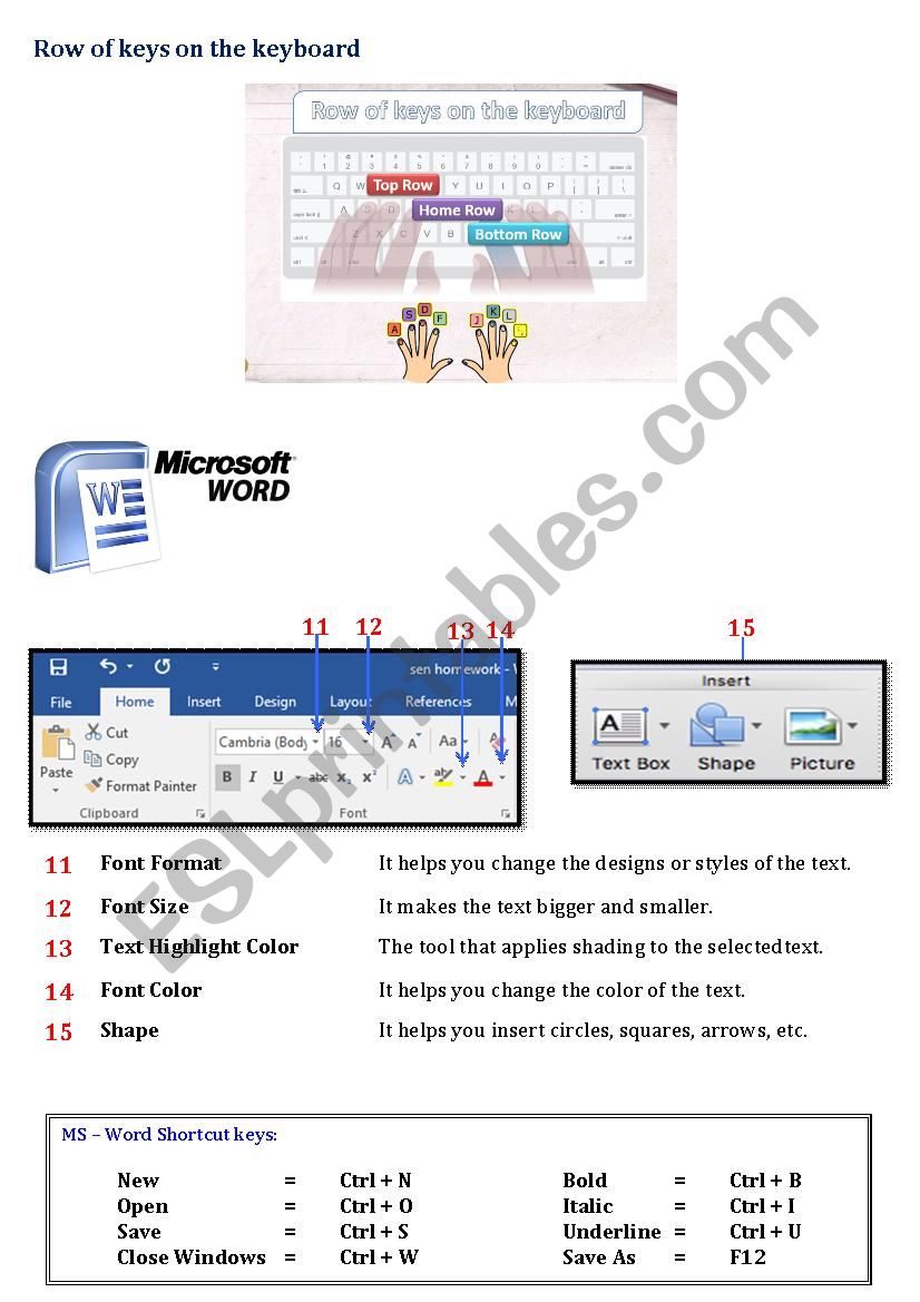 Keyboard and short cut keys worksheet