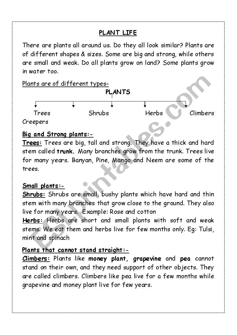 Plant life lesson with worksheets - ESL worksheet by yashaswinis