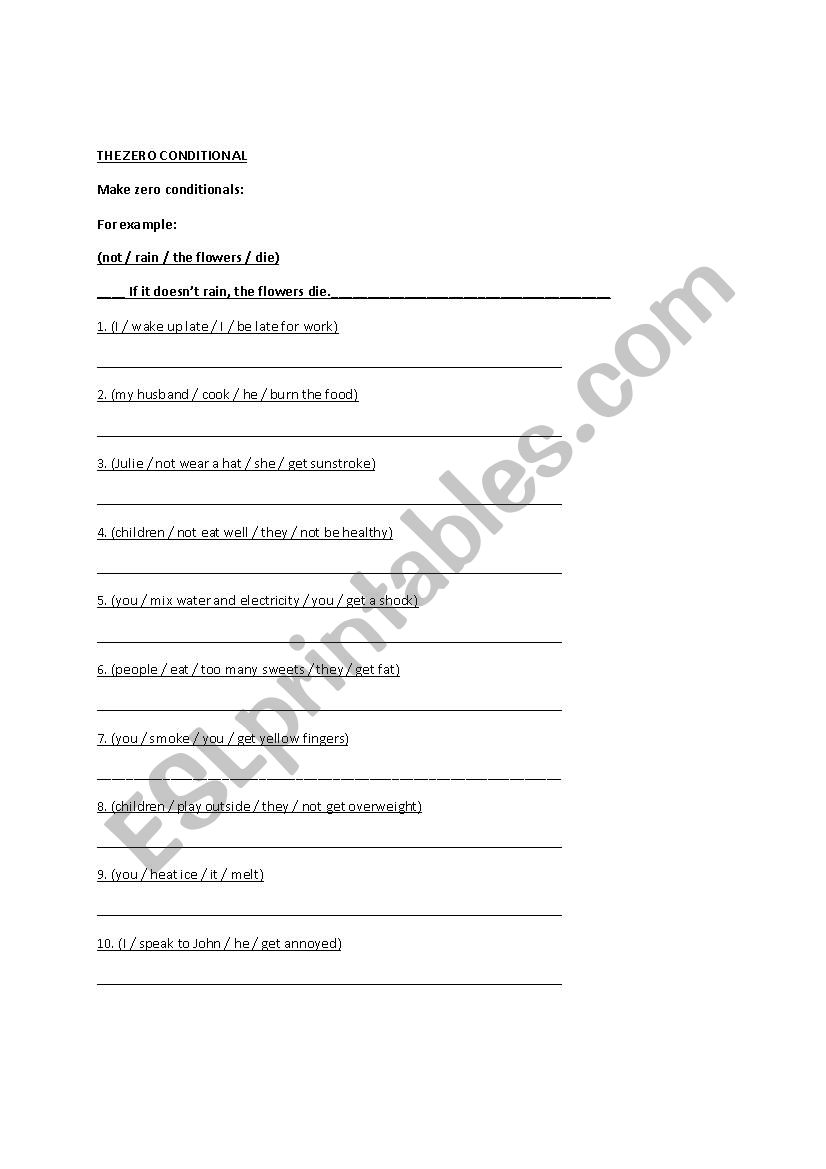 Conditionals Quiz worksheet