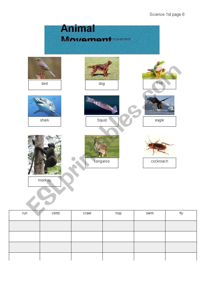 Animal Movement worksheet