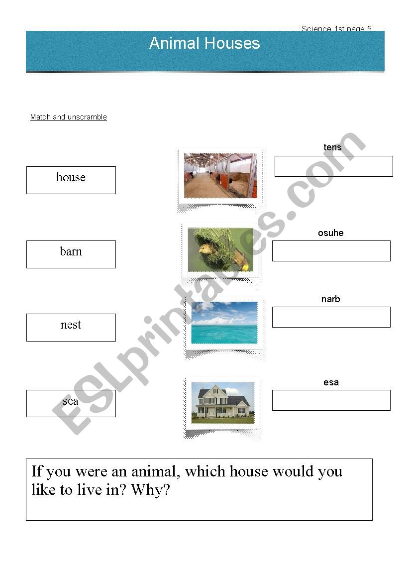 Animal houses worksheet