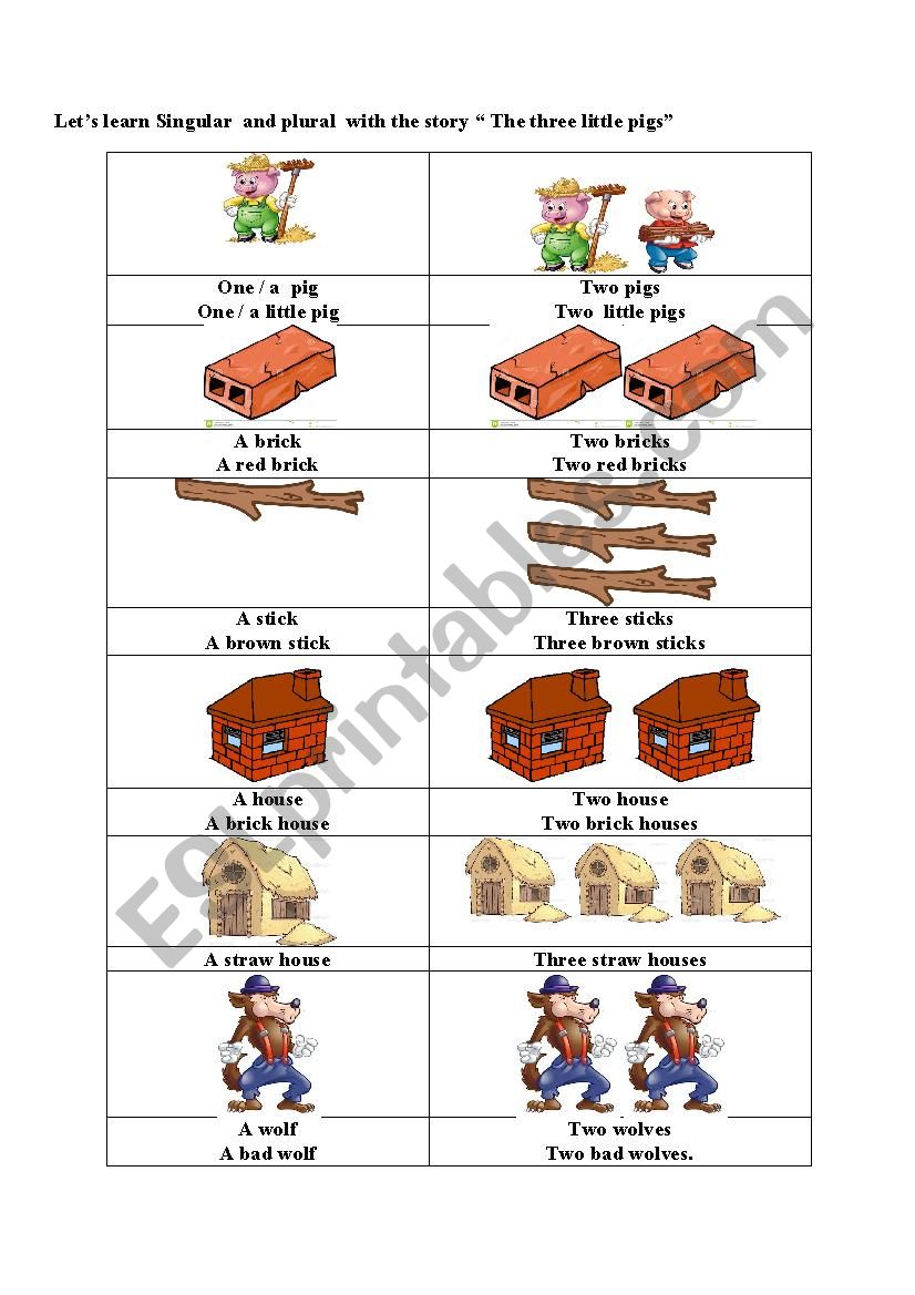 Lets learn singular and plural with 