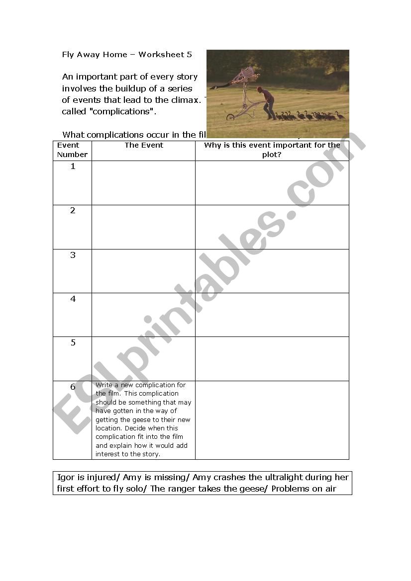 Fly Away Home Worksheet 5 worksheet