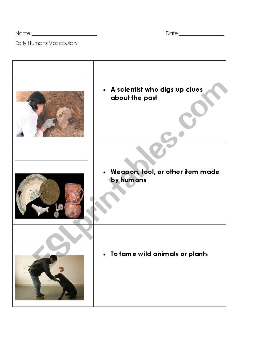 Early humans picutre vocabulary